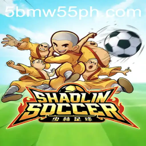 ShaolinSoccer: Experience a Kick at BMW55 PH